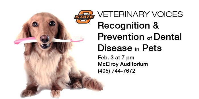Veterinary Voices: Recognition and Prevention of Dental Disease in Pets