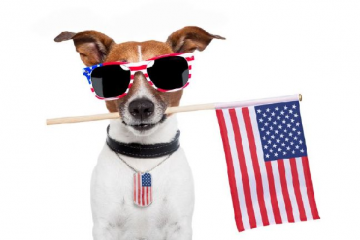 July 4 Hazards