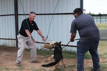 Veterinary Center Offers Canine Athletic Program