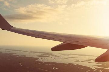 Flying with Pets