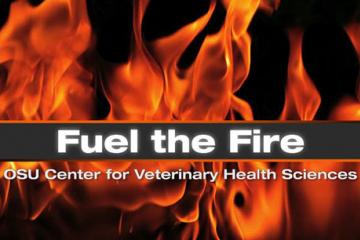 Come Fuel the Fire of America’s Brightest Orange