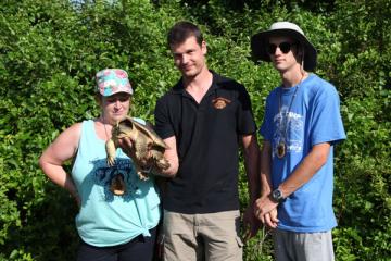Snapping Turtle Released