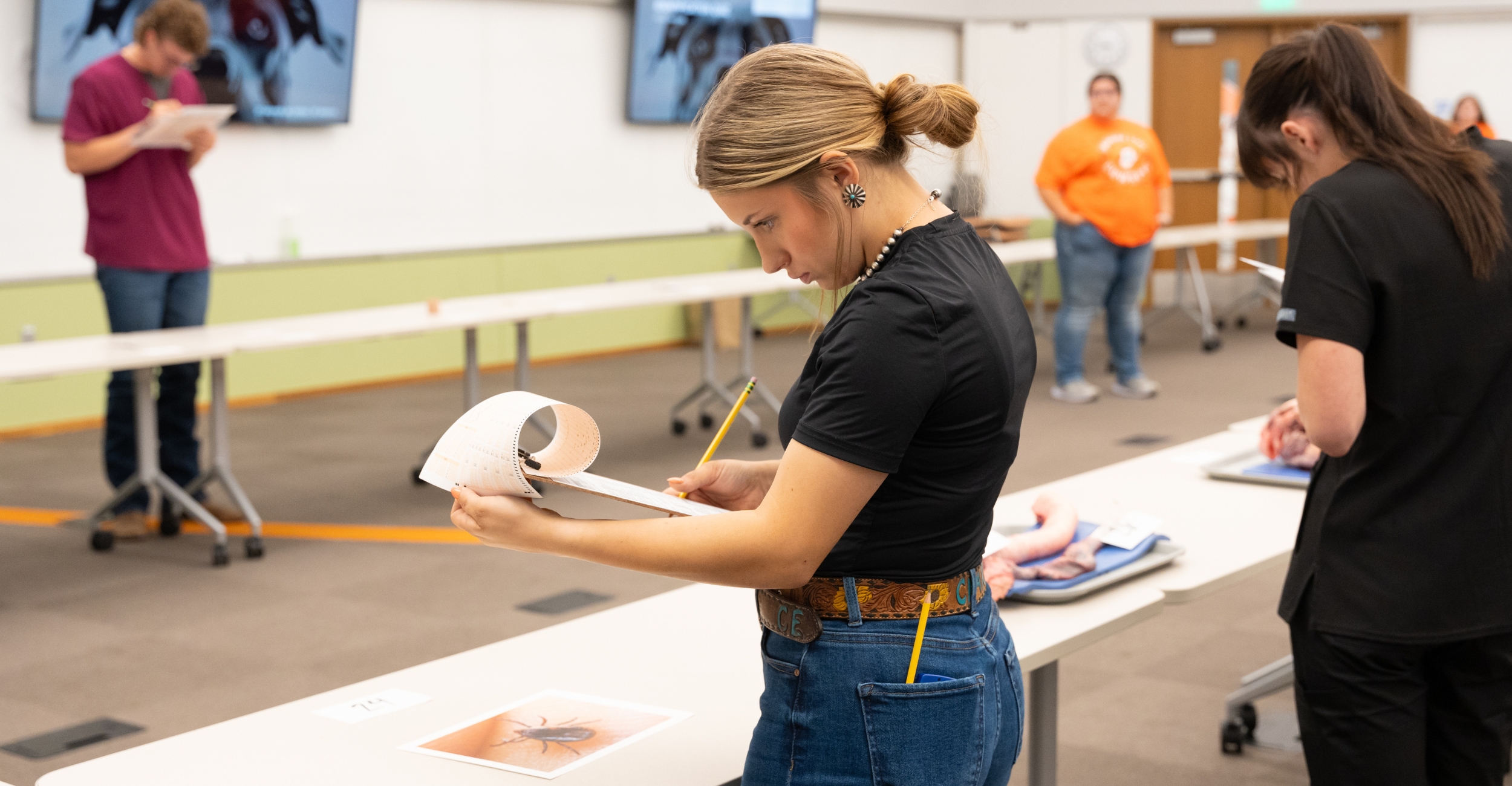 From classroom to clinic: Preparing tomorrow’s veterinarians