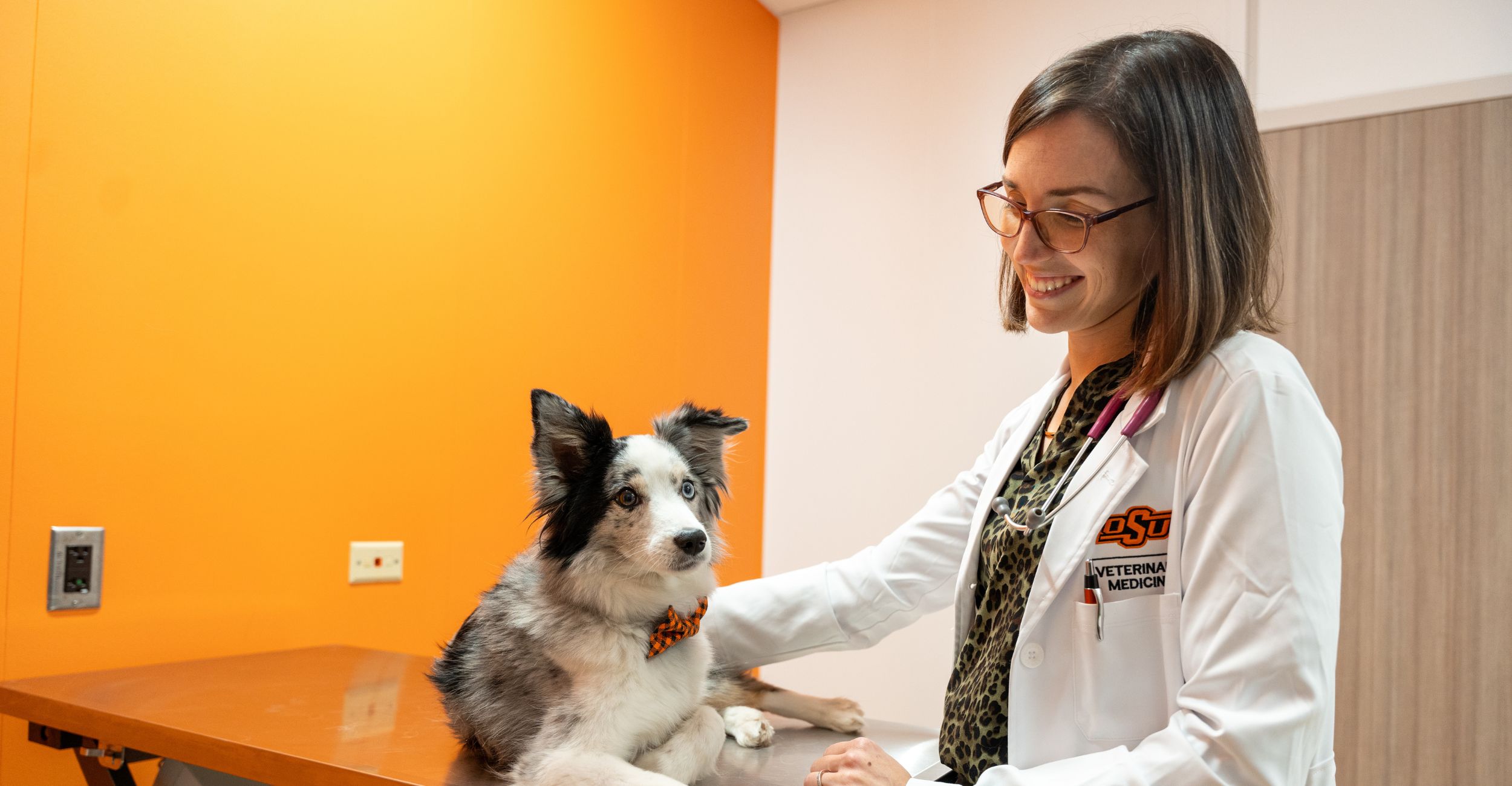 OSU College of Veterinary Medicine Teaching Hospital