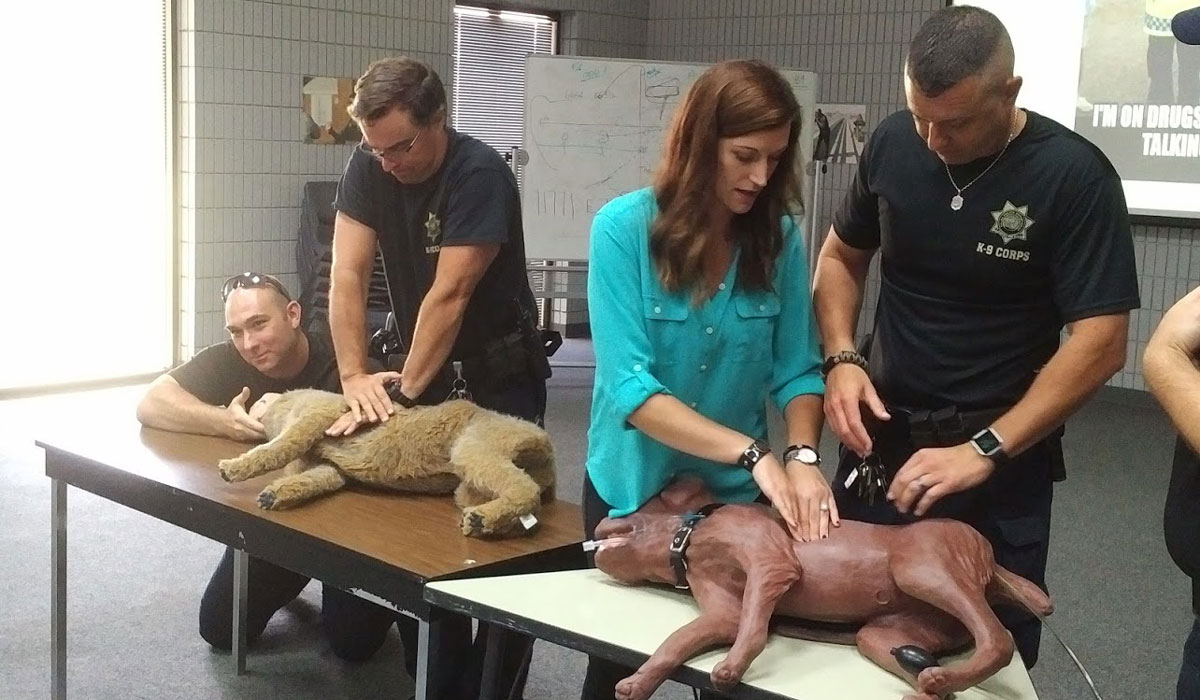 Dr. Rachel Burke demonstrates CPR techniques on a dog manikin.