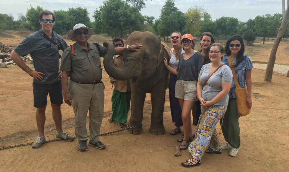 group with an elephant