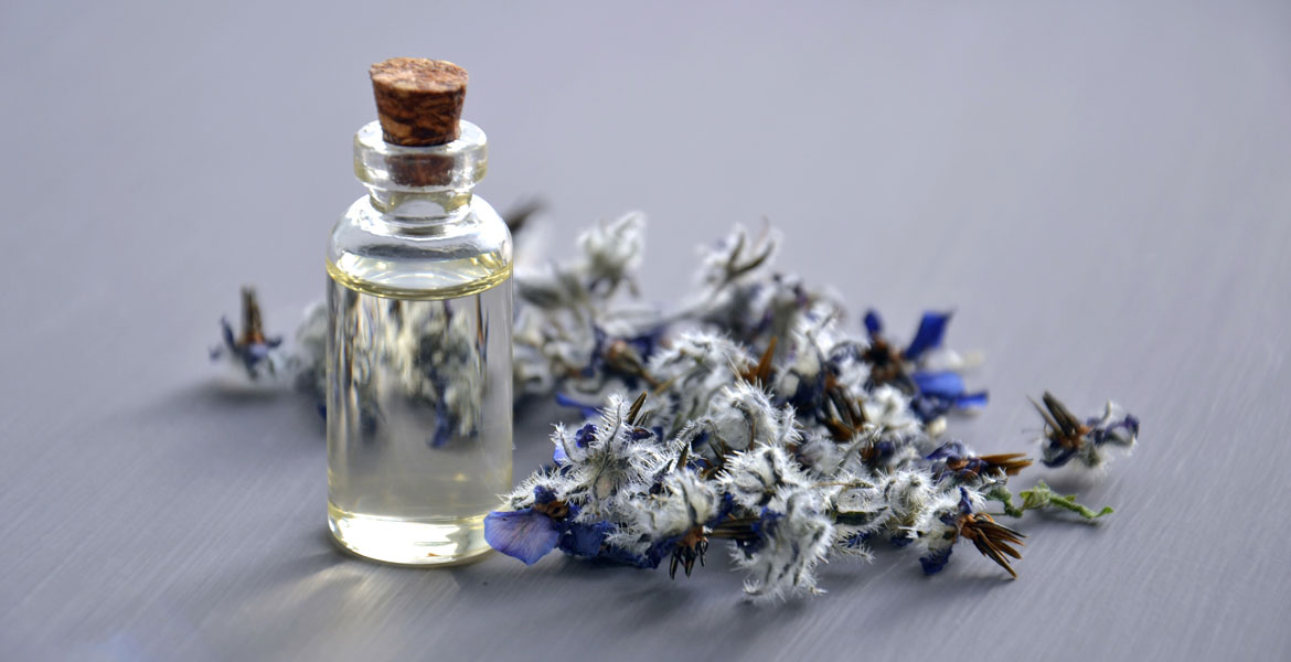 Essential Oils and Pets | Oklahoma State University
