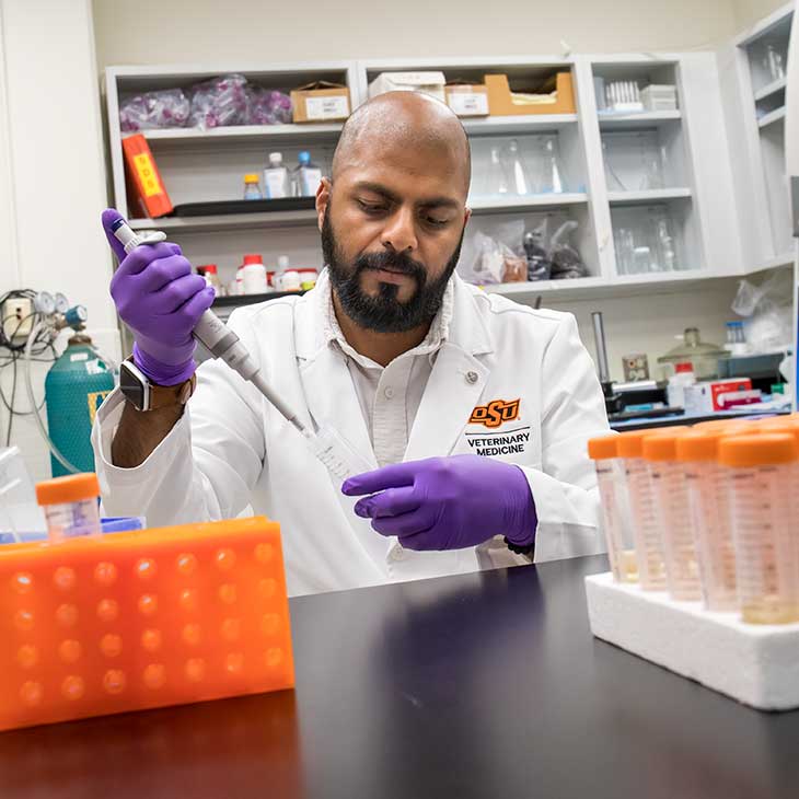 Faculty members researches at the CVM