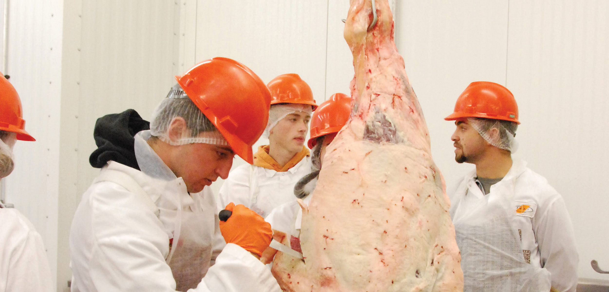 Tate Johnson (left) and Caleb Edens cut the carcasses in ANSI 3333 Meat Science.