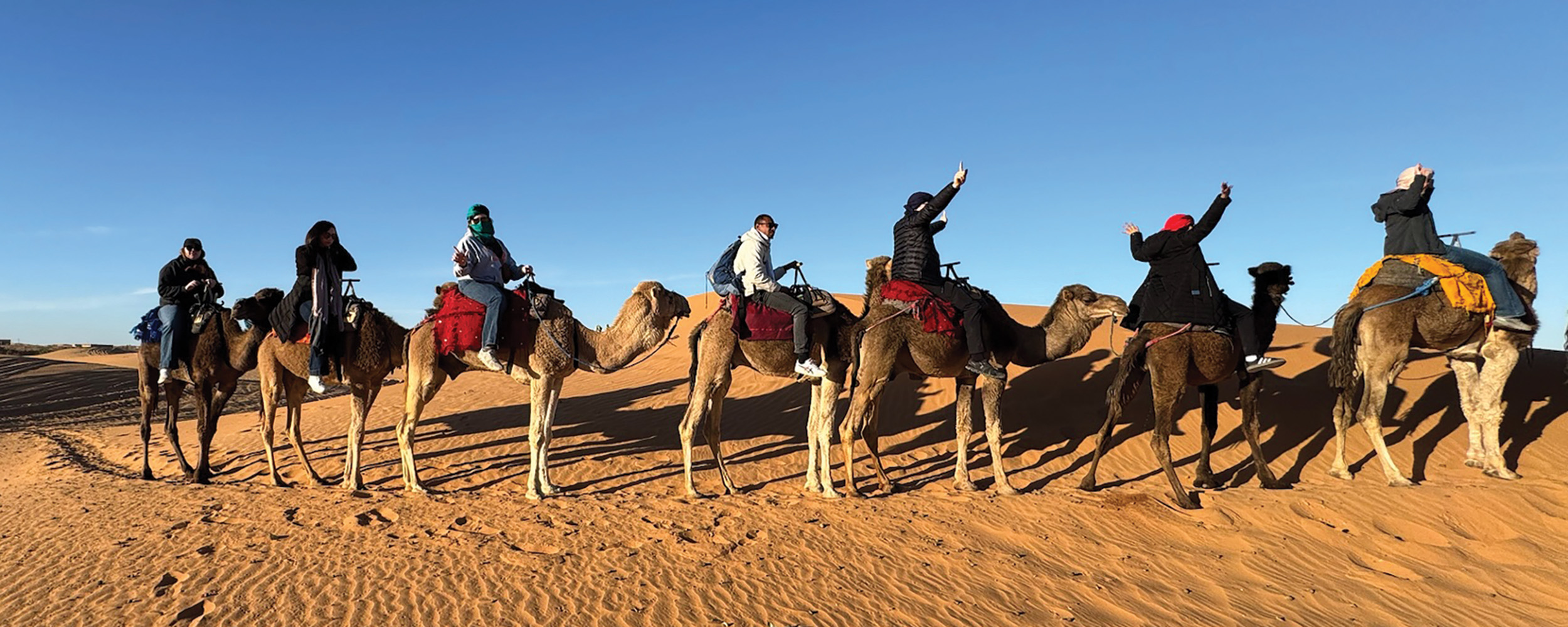 Ferguson College of Agriculture students ride on camels in the Moroccan Desert
