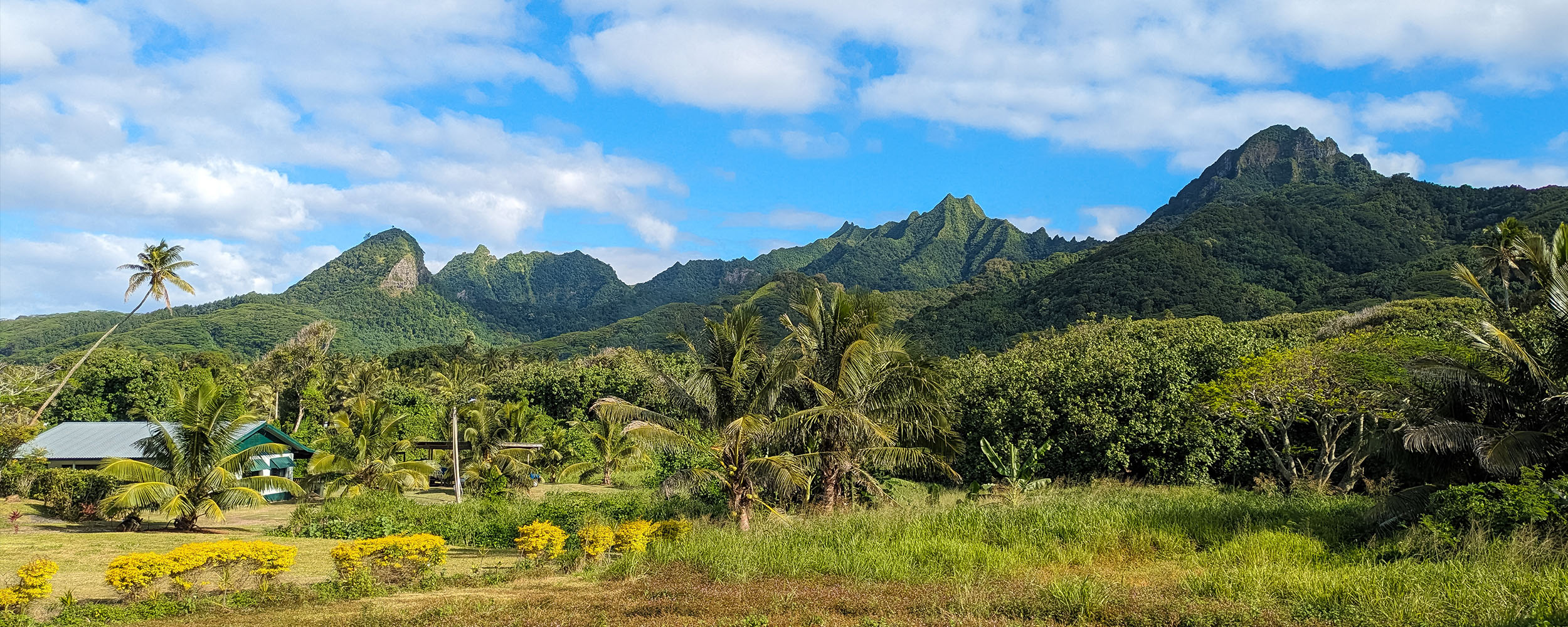 Lush tropical landscape in the Cook Islands with tall, rugged green mountains under a partly cloudy sky, palm trees, and dense vegetation surround a small green and white house nestled among the trees and yellow flowers that dance in the wind.