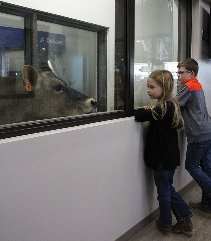 9-year-old Audrey Arnall (left) and her 11-year-old brother, Brayden Arnall, can come to the visitor center to learn about the dairy industry, the on-farm technology used and the robotic milker