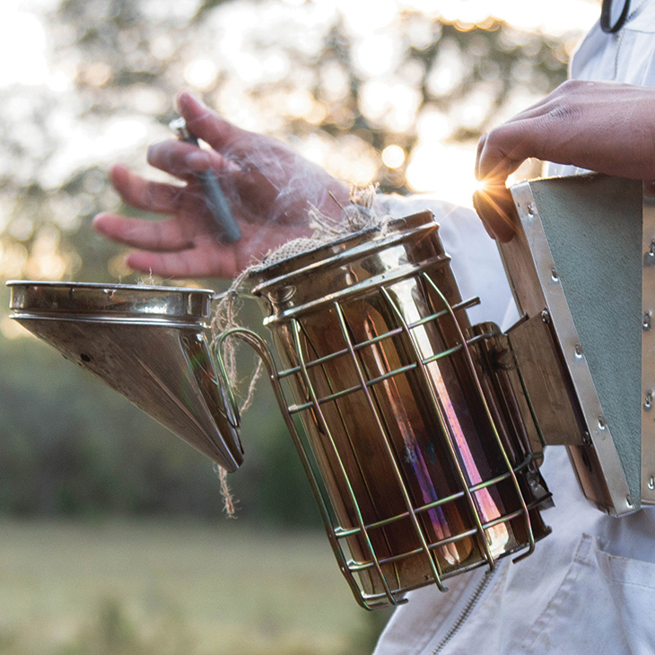 Smith found a passion for showcasing agricultural opportunities, such as his beehives (Photo by Shadi Nettles)