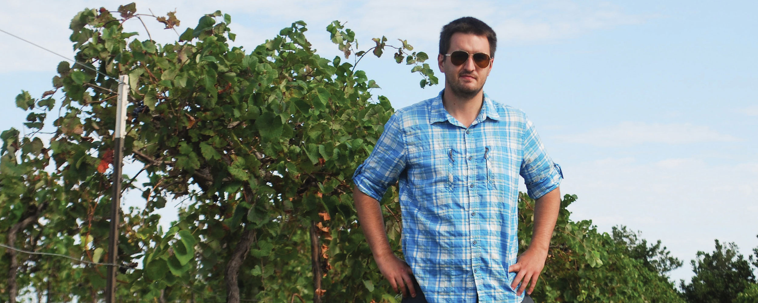 Andrej Svyantek stands among vines