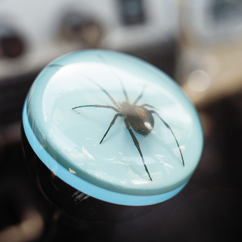 The shifter knob of the HJ47 features a giant spider.