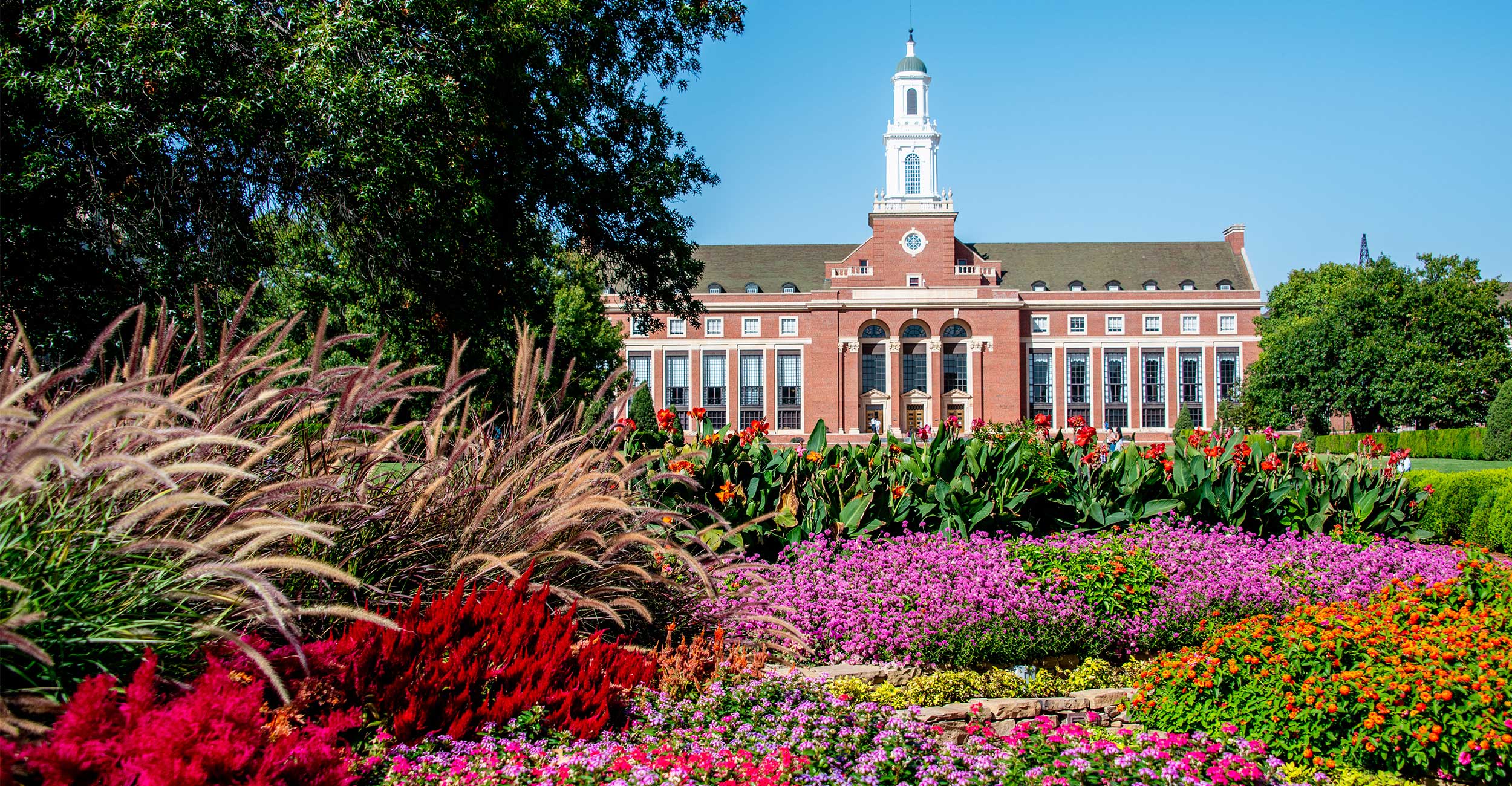 Flowers on library lawn