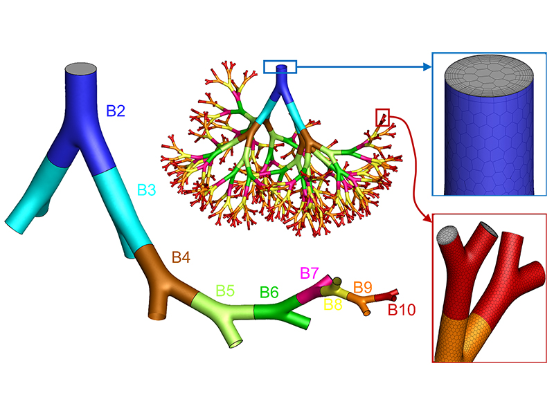 multi-colored computer diagram showing potential air pathways. 