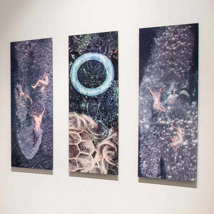 Cloacina in Triplicate, Marguerite Perret and Bruce Scherting, Archival photographic digital prints on aluminum.