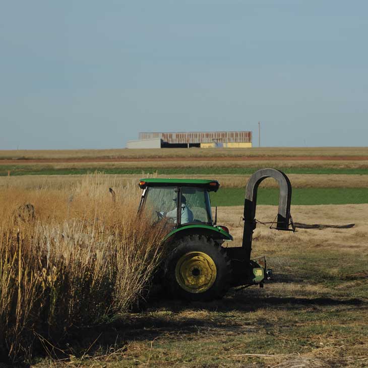 The OSU Eastern Research Station in Haskell conducted regional switchgrass field trials to contribute to the 2016 and 2023 reports’ economic model for determining the potential of biomass crops.