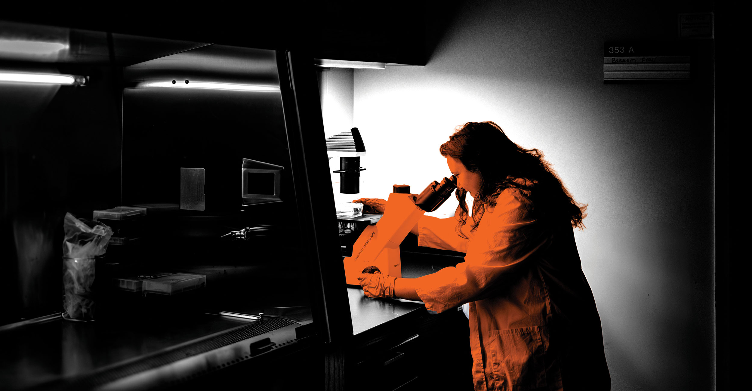 Finding Her Field: Recent graduate builds confidence, curiosity and a future through research