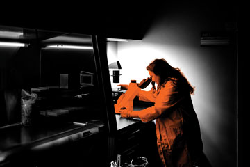 Finding Her Field: Recent graduate builds confidence, curiosity and a future through research