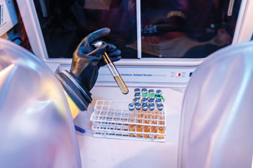 OSU microbiome center marks progress midway through first phase of NIH grant