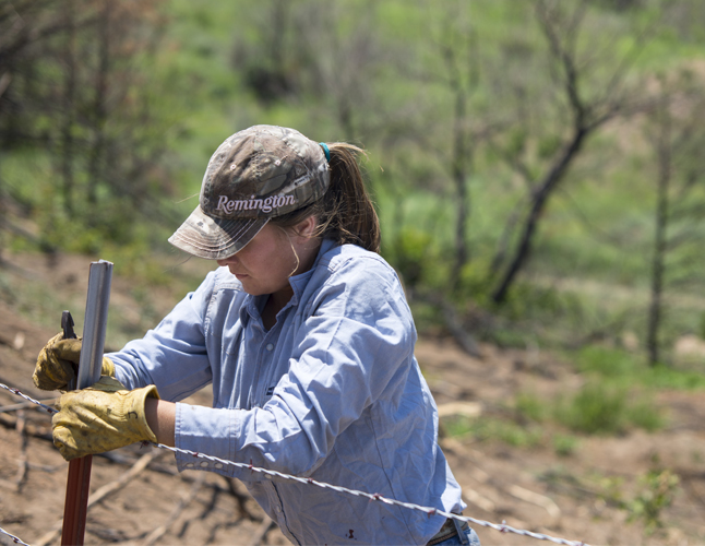 Woman fixing fence after wildfires