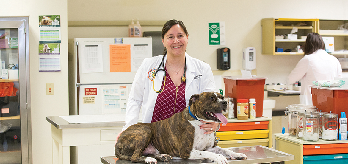 Dr. Danielle Dugat holds the Cohn Family Chair for Small Animals