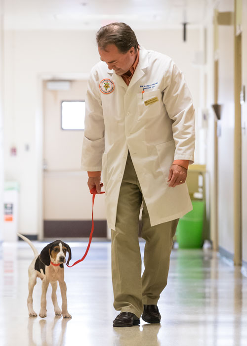 Milo walks with Dr. Clary for the first time