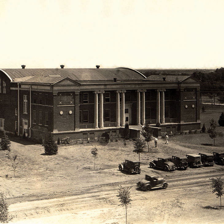 The Animal Husbandry Building and Livestock Pavilion was completed in 1924. The pavilion was on the site of the future Ferguson College of Agriculture facility.