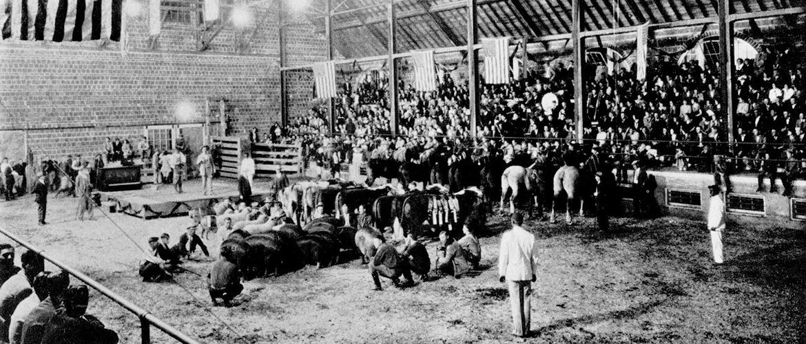 The first “Little International” was held at the Livestock Pavilion/Arena on Oct. 22, 1925.
