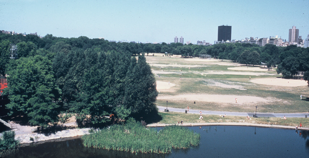 the great lawn before Kays renovation