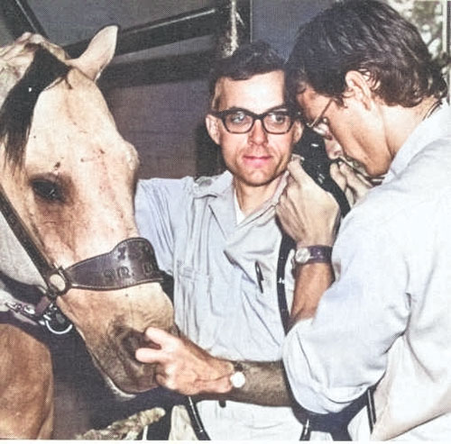 vet students and horse