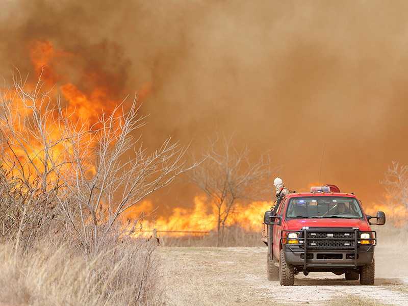 A large wildfire burns intensely in a dry, grassy area with leafless trees, sending thick smoke into the sky. In the foreground, a red fire truck is parked on a dirt path, and a firefighter stands on the side of the truck, appearing to assess the situation or prepare to respond.Left: a vew