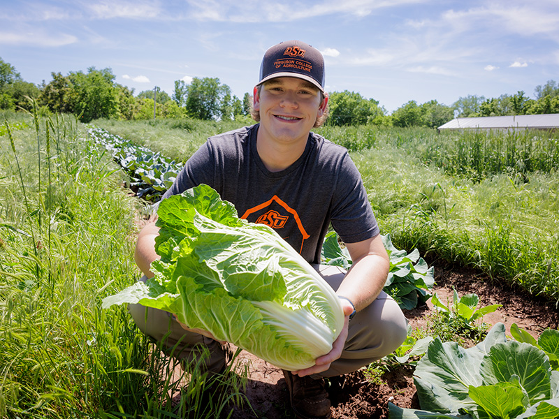 A person wearing a dark gray t-shirt with an orange logo and a cap kneels in a lush green field, holding a large head of leafy green cabbage. The field features rows of crops with trees and vegetation in the background beneath a partly cloudy sky.