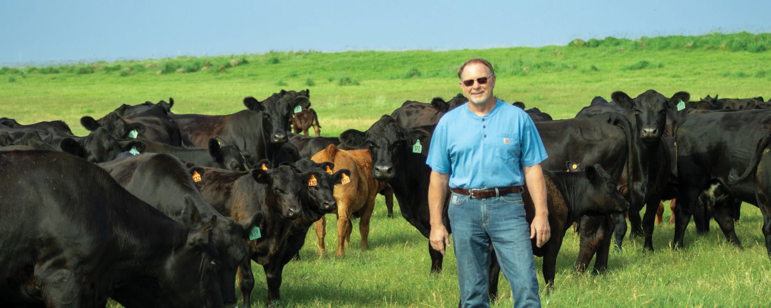 Chow Time: From pasture to production — a solution made in Oklahoma