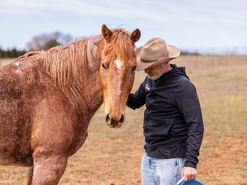 A man wearing a beige hat, black jacket, and blue jeans is standing next to a brown horse in an open field. The man has one hand on the horse's neck and is holding a blue object in the other hand. The background shows a blurred landscape with trees and fencing. 