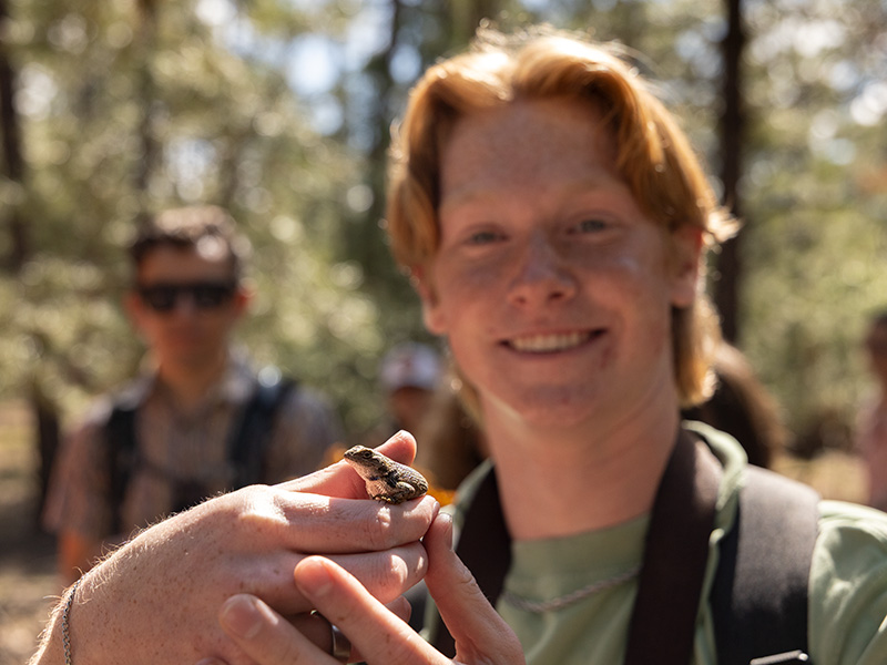 A participant in an outdoor field study carefully holds a small frog while others stand nearby among trees in a wooded natural area.