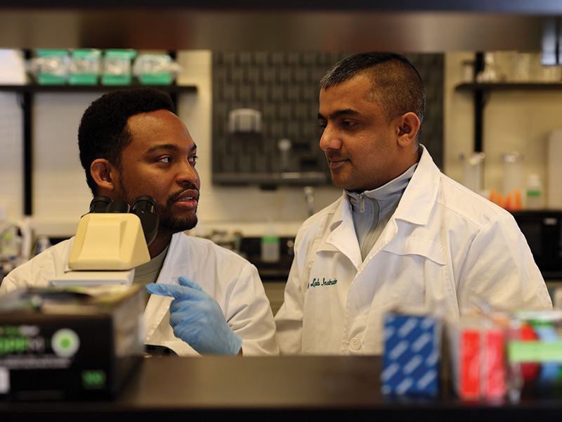 Two researchers in lab coats discuss their work beside a microscope in a laboratory, with scientific equipment and supplies visible in the background.