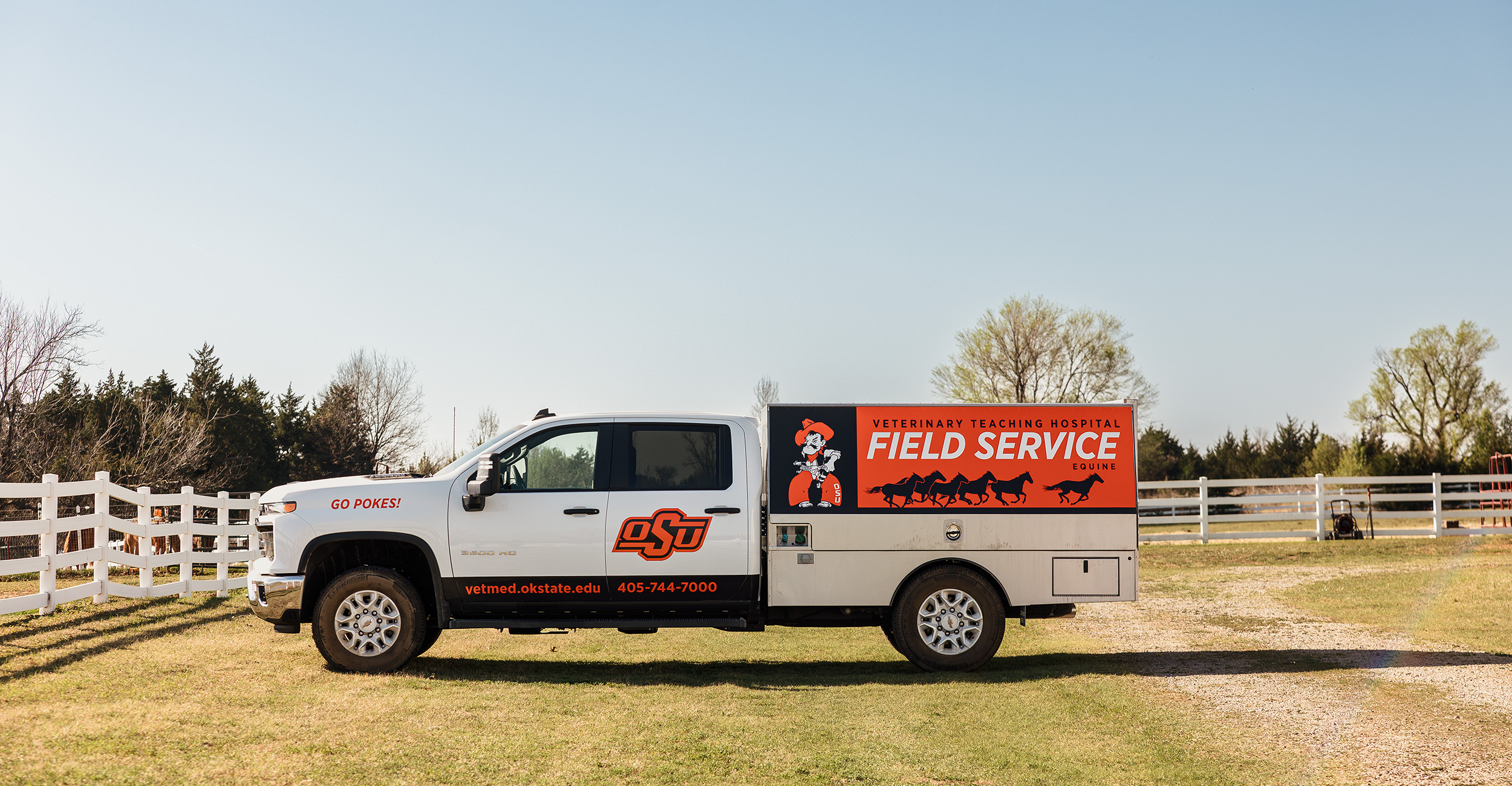 OSU veterinarians bring expertise to the barn, field, coop — wherever your animals call home