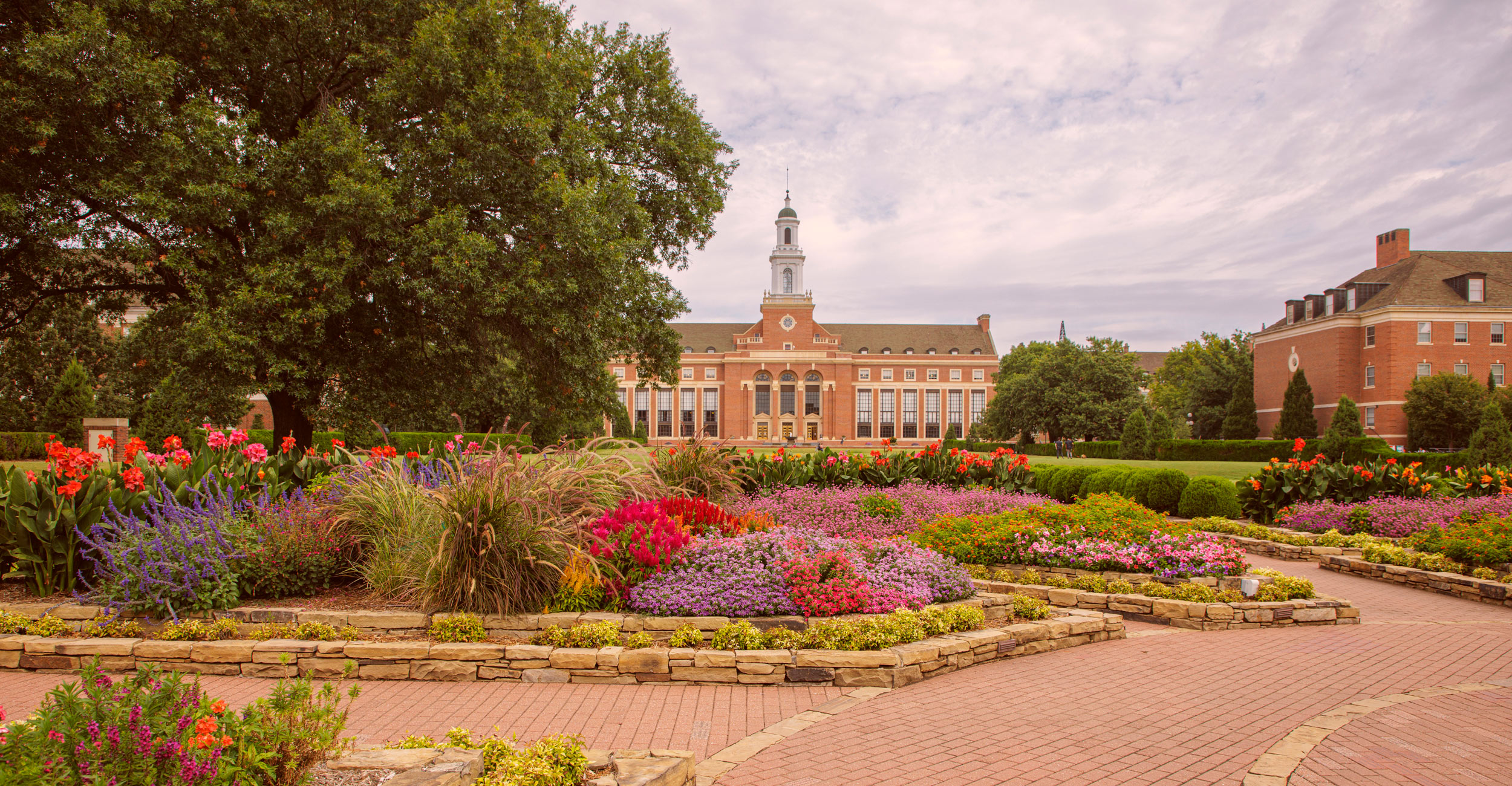 54_banner.jpg