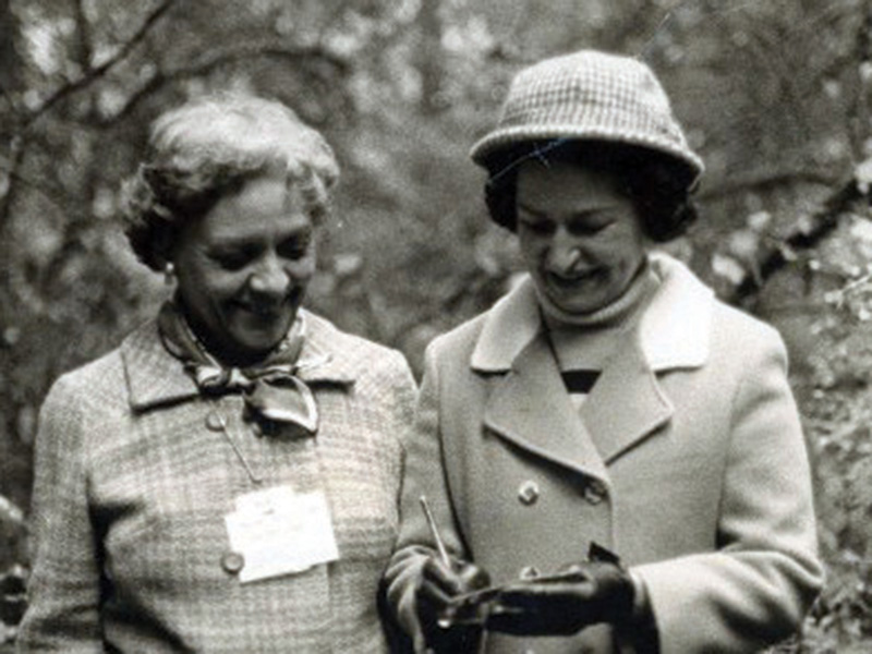 Black‑and‑white photograph of two people outdoors looking down together at an object one is holding, surrounded by trees in a wooded setting.