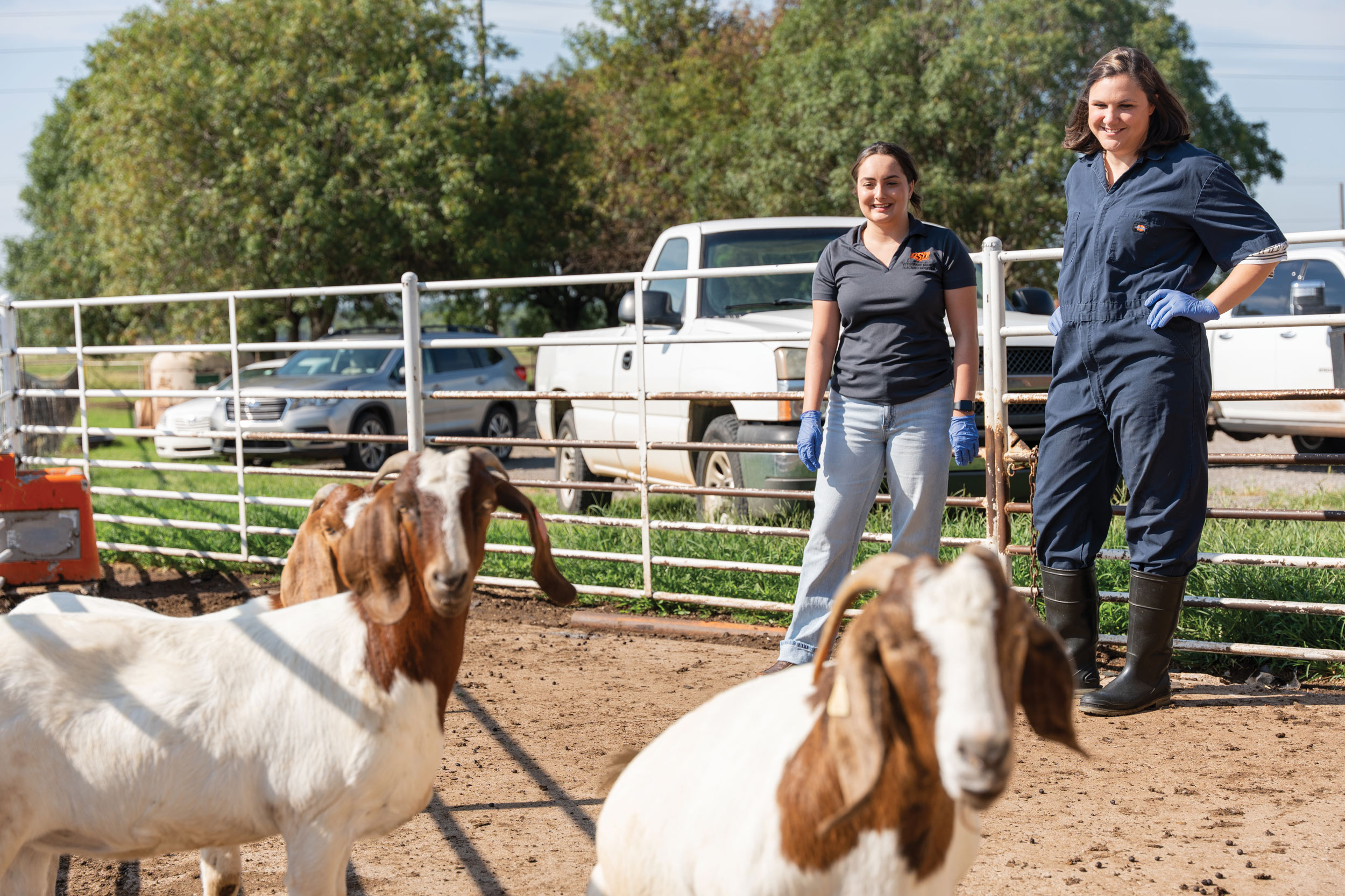 From left: OSU CVM FFAR vet fellow Makayla Elliston and Dr. Jennifer Rudd, OSU CVM veterinary pathobiology assistant professor, observe herd health.