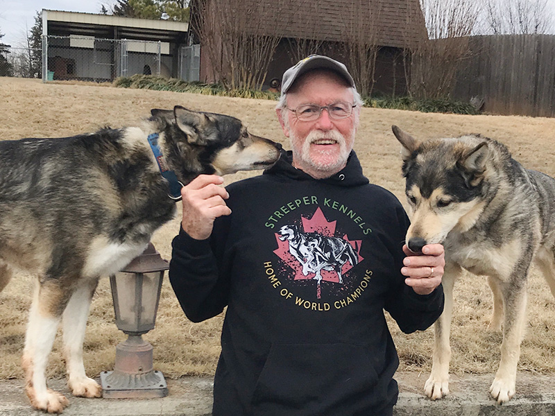 A person wearing a black hoodie with the text “Streeper Kennels Home of World Champions” and an image of sled dogs stands outdoors between two large dogs. The dogs, which have thick gray and white fur, are standing on a low stone ledge and leaning toward the person. A grassy yard and wooden fence are visible in the background.