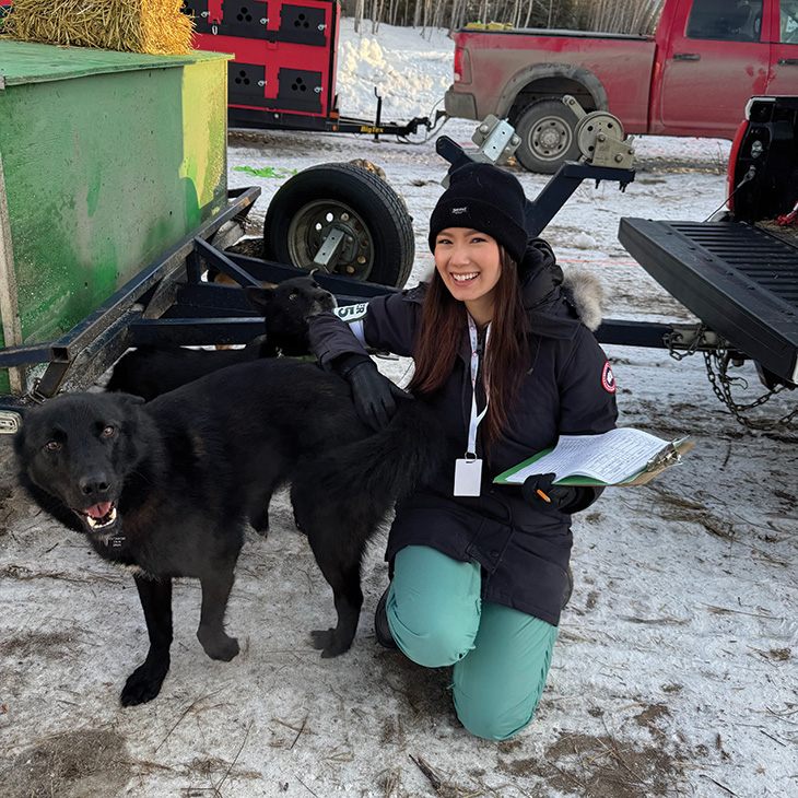 A person kneeling on snow next to a black sled dog, gently holding the dog’s side while writing on a clipboard. The person is wearing a black winter coat with a fur-lined hood, teal pants, black gloves, and a knit hat. Nearby are a green container, a red truck, and a trailer with hay bales.
