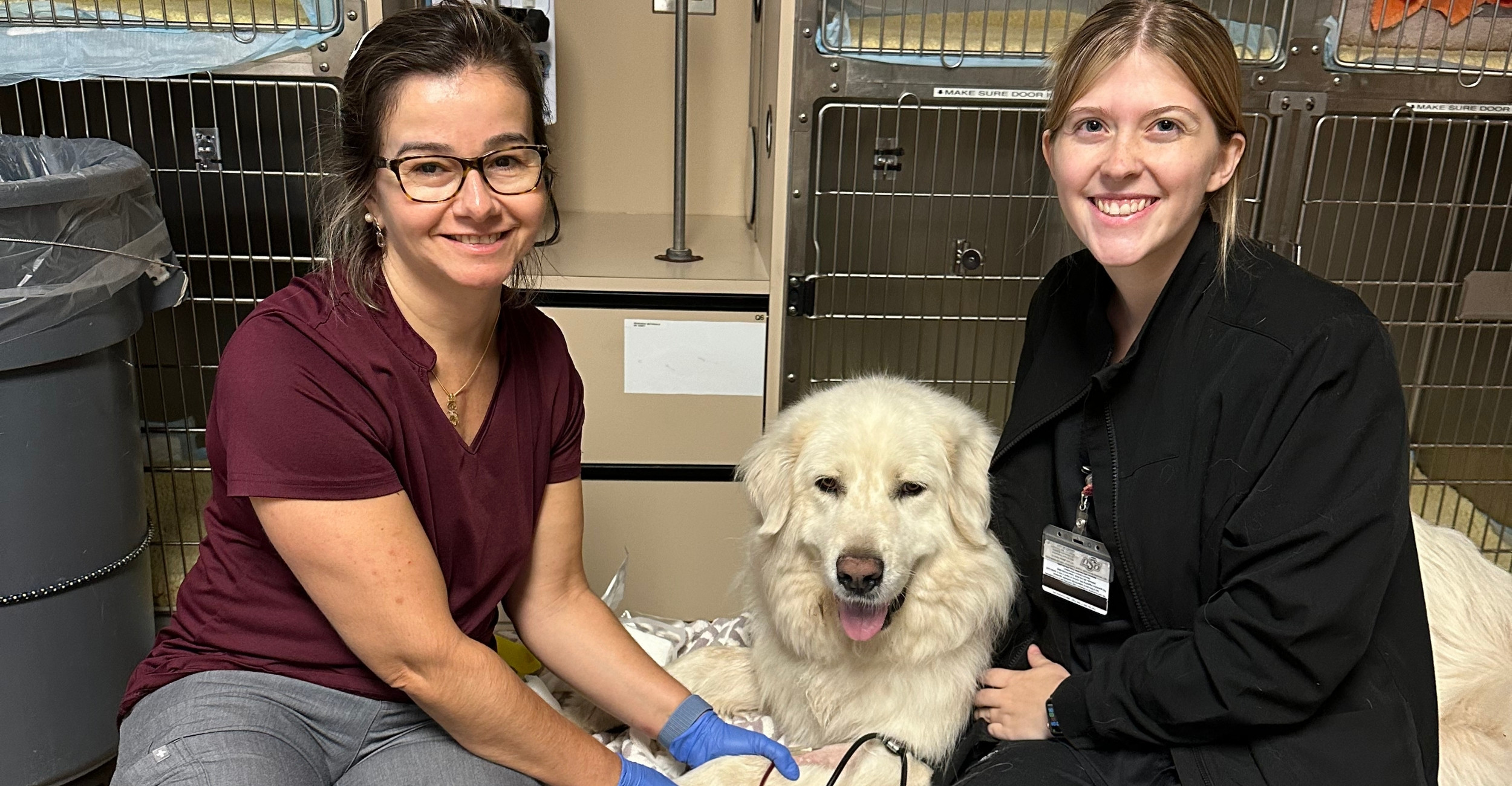 Dr. Conti and veterinary assistant sit next to blood donor dog.