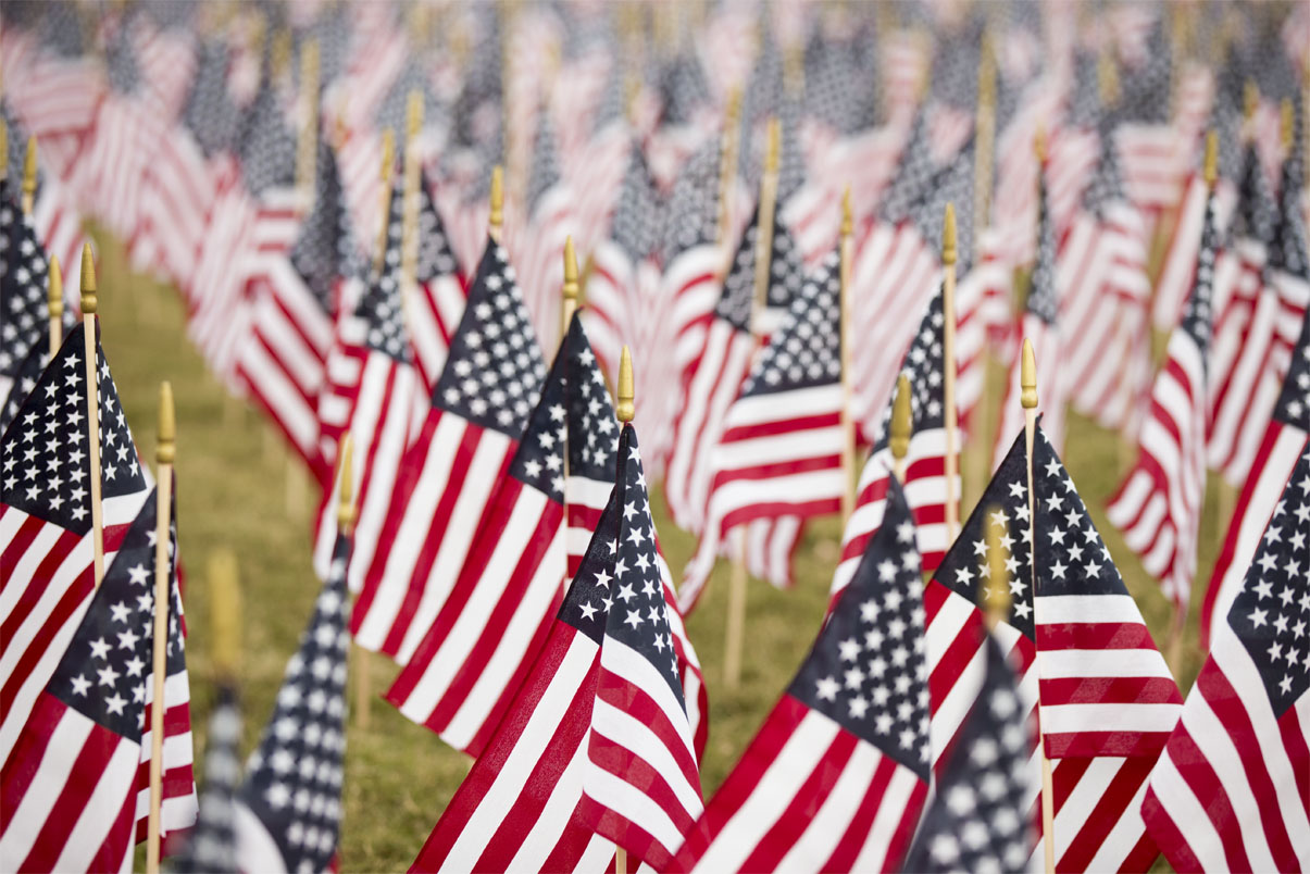 Veterans Day Flags