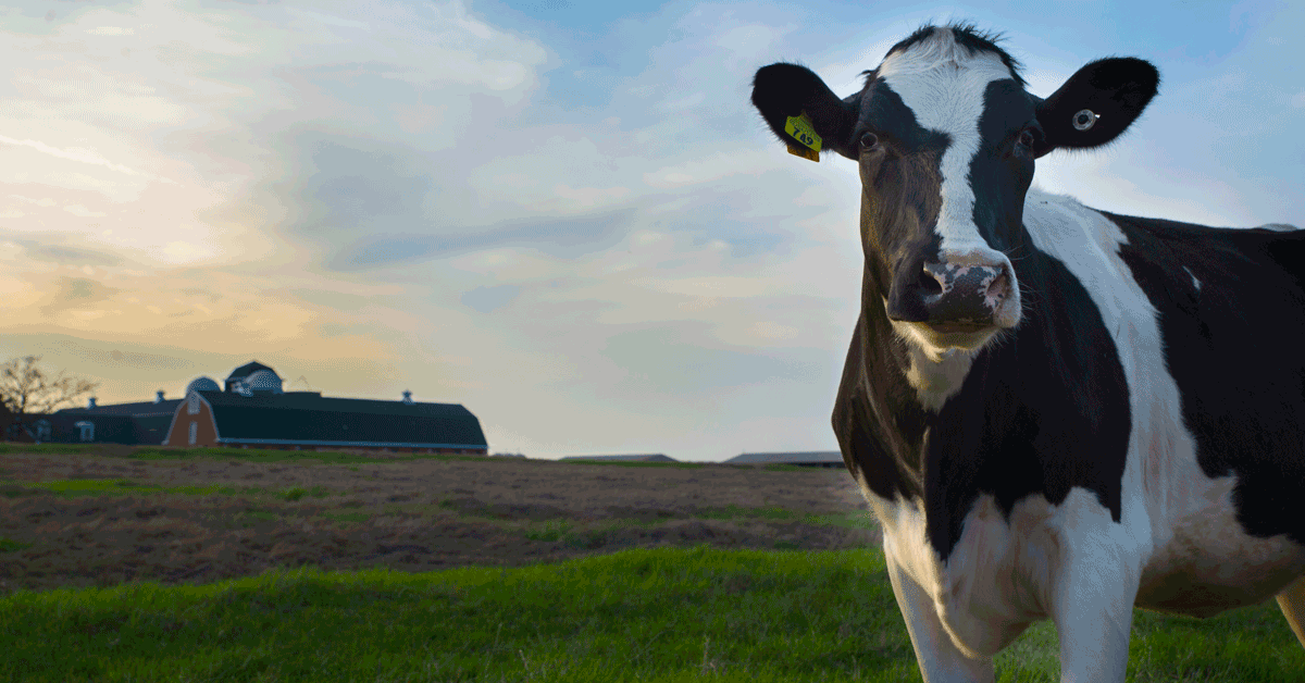 Take part in online journey through ‘Farm to Fork’ Massive Open Online Course