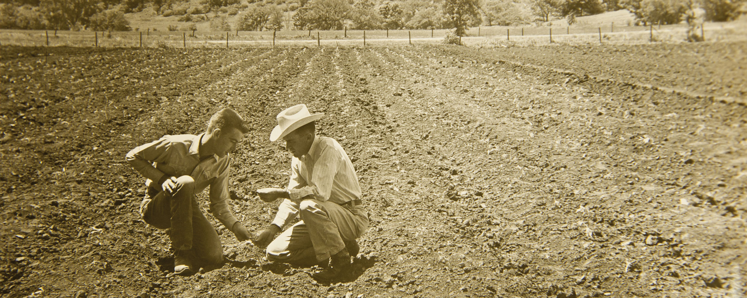 two men squat in a field to look at planted seed 